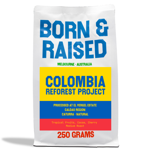 Colombia Reforest Project