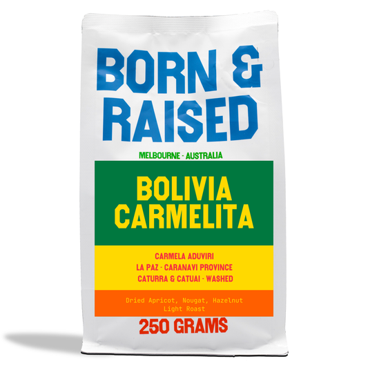 Bolivia Carmelita Washed