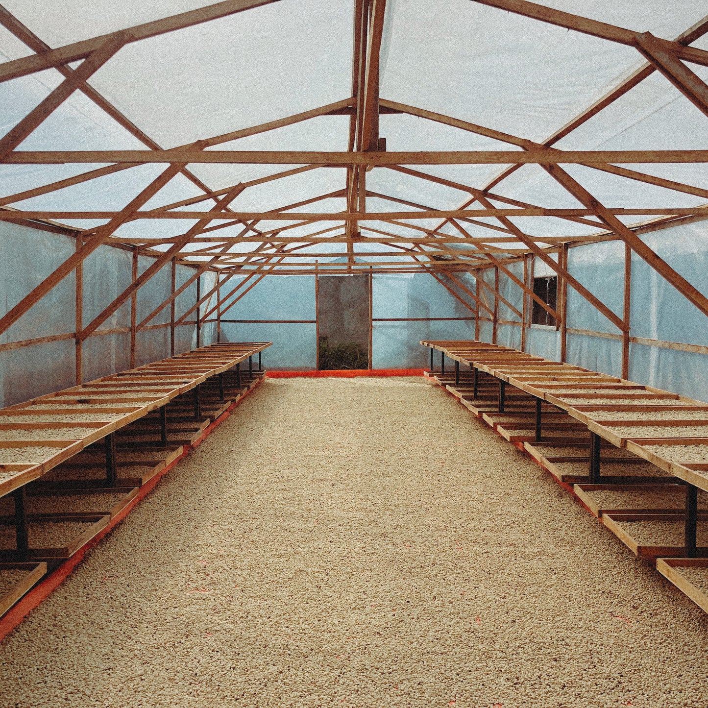 Colombia Condor Decaf