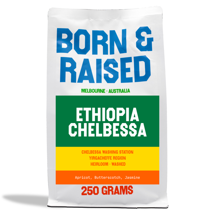 Ethiopia Chelbessa - Filter Roast