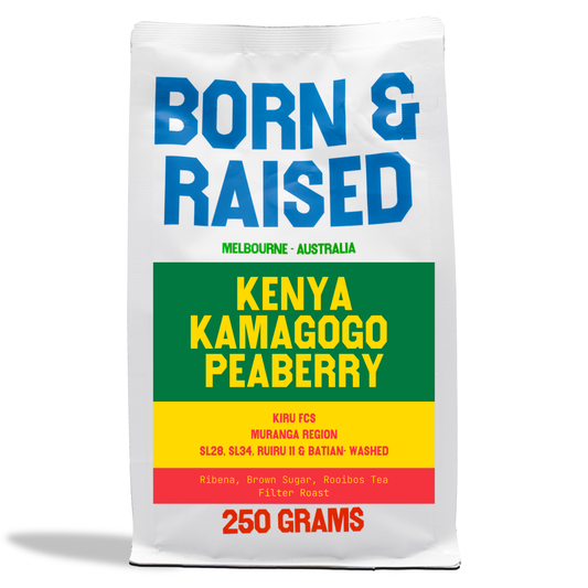 Kenya Kamagogo PB - Filter Roast