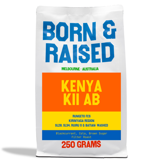 Kenya Kii AB - Filter Roast