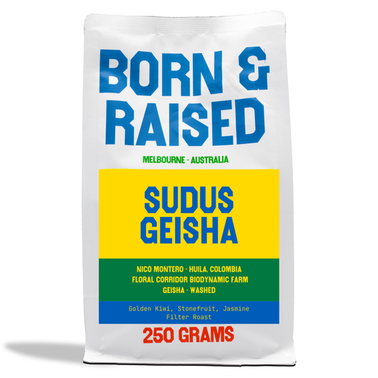 Colombia SUDUS Geisha - Filter Roast