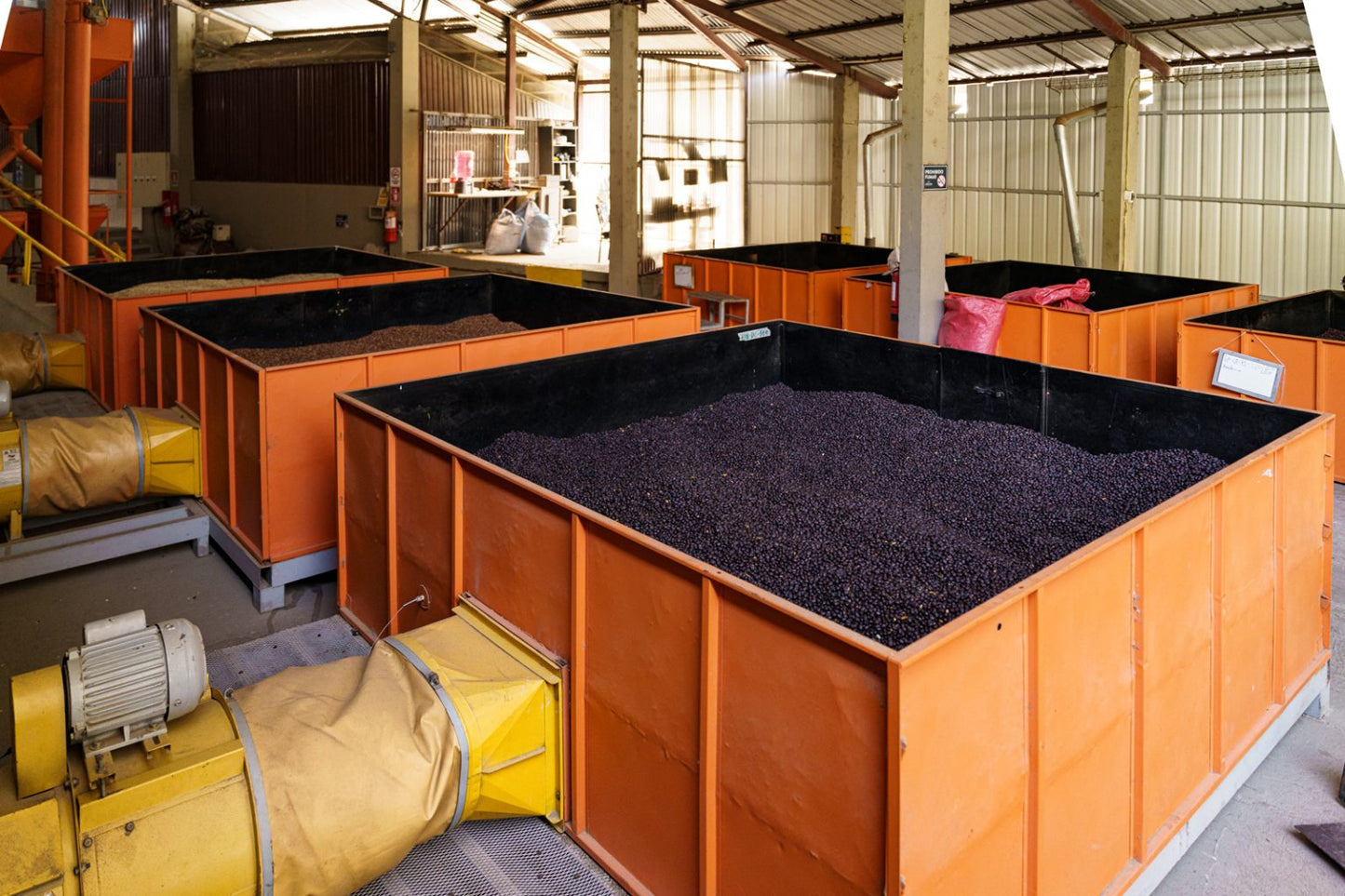 Bolivia El Fuerte Java