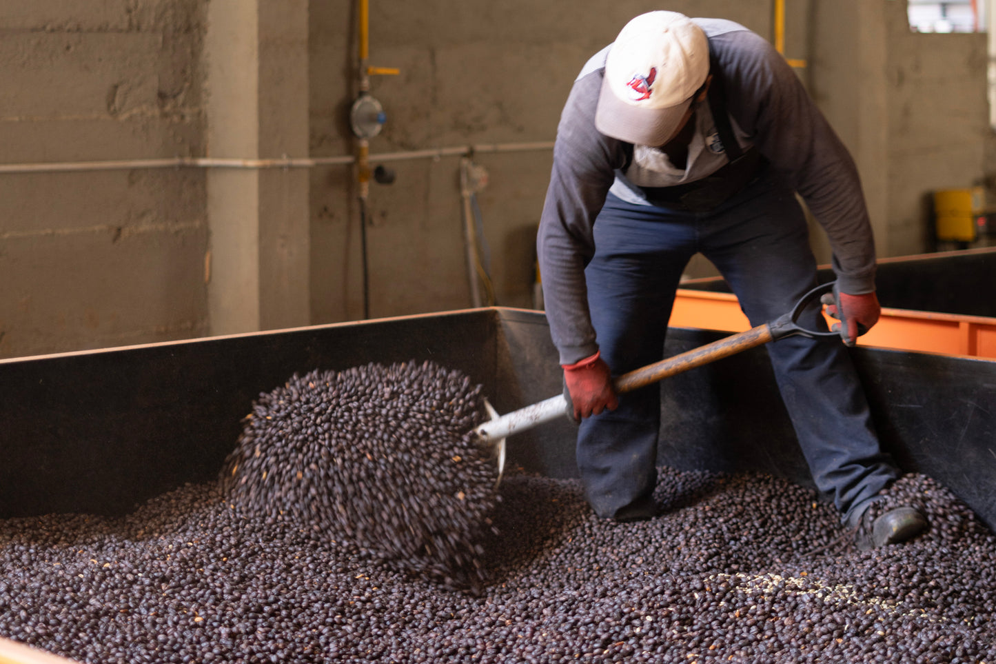 Bolivia El Fuerte Java