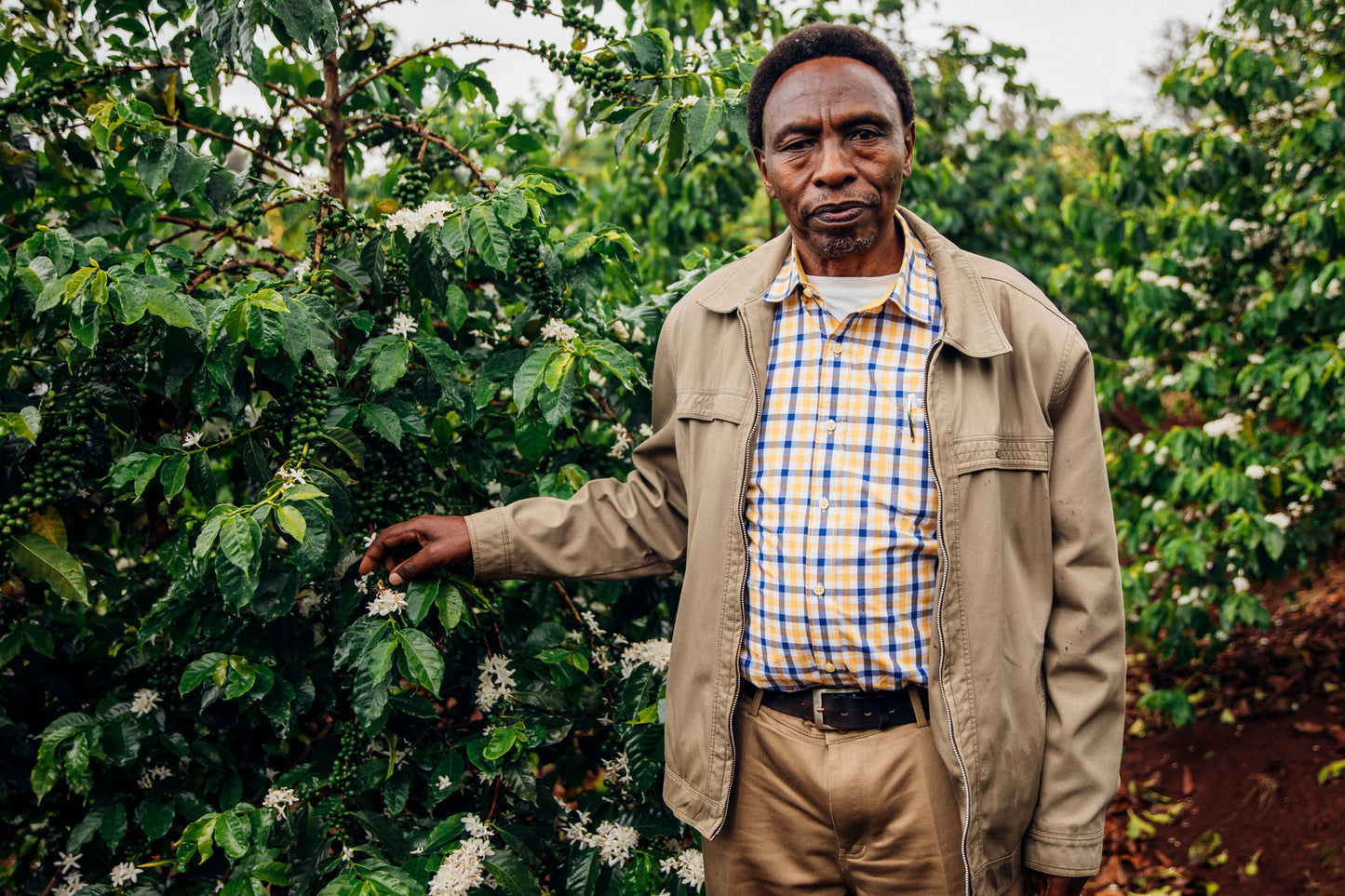 Kenya Ndocha Estate AB