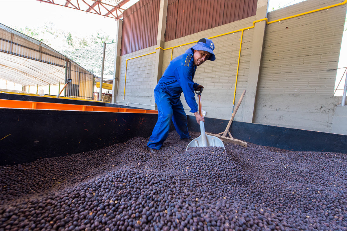 Bolivia El Fuerte Java