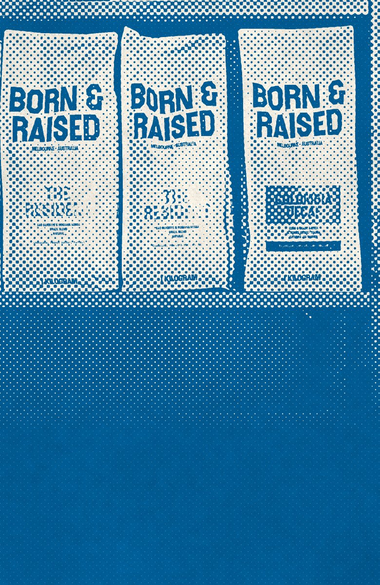 Bags of Born & Raised coffee on a shelf