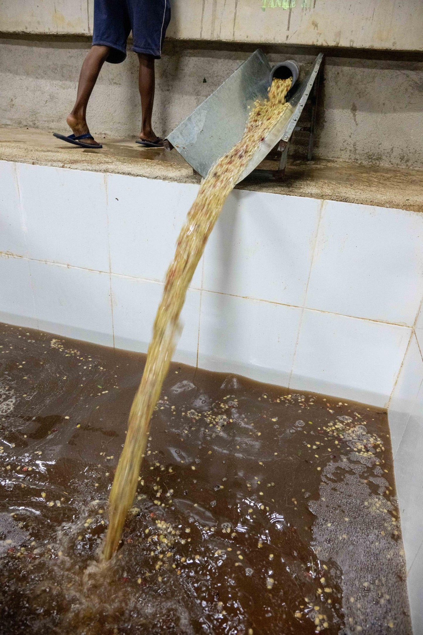 Timor-Leste Aileu Washed